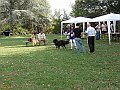 img 082